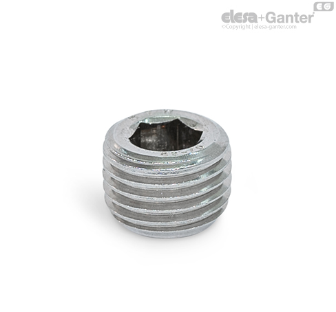 DIN 906-NI Threaded Plugs Stainless steel | Elesa+Ganter